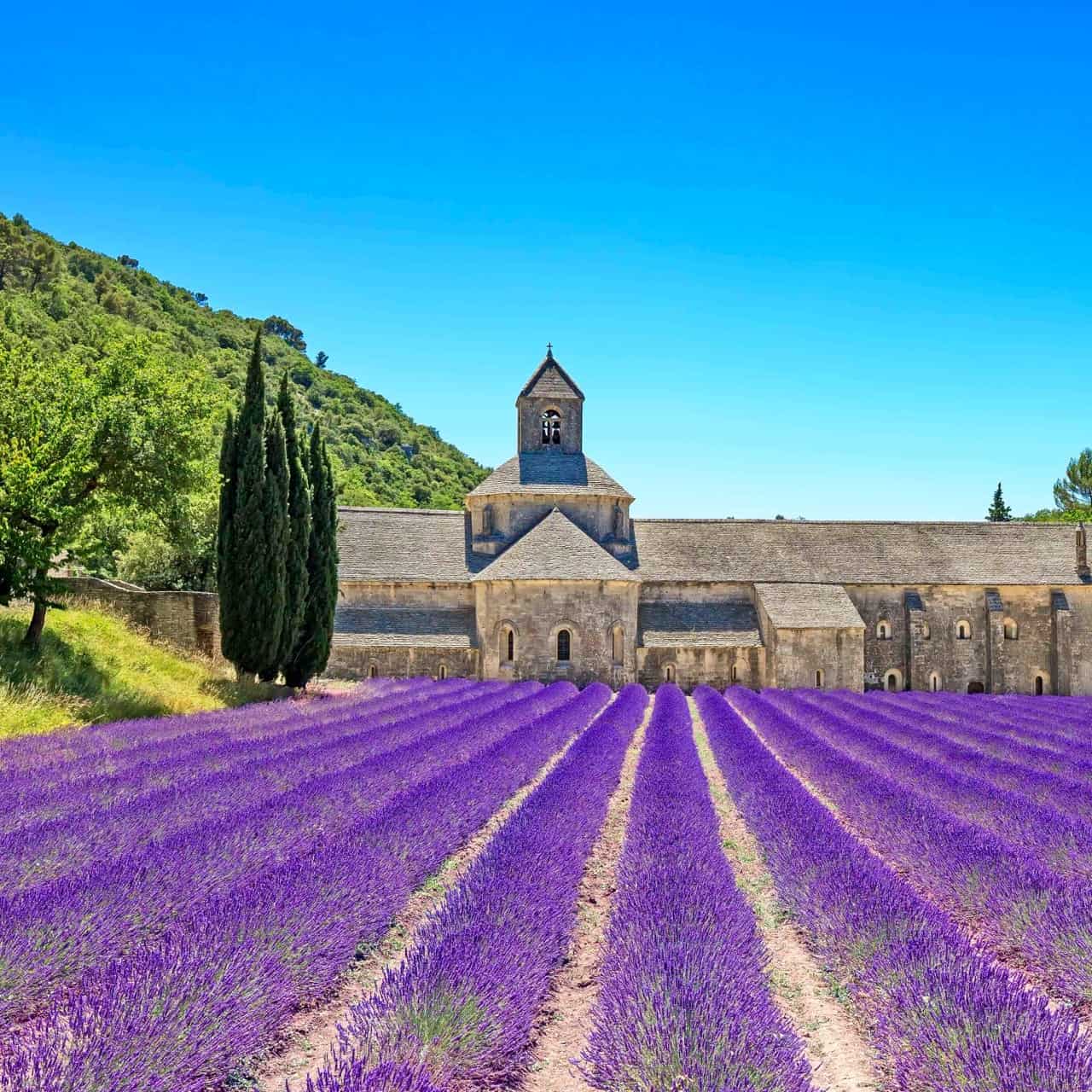 Family villas South of France 101 Family Holidays
