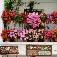 spain cities to visit in april