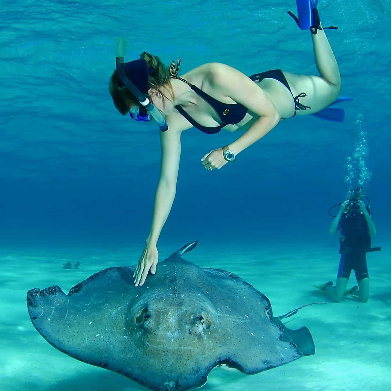 Cayman Islands Weather